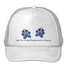 Super Storm Sandy "We Survived" Mesh Hats