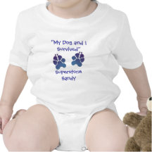 Super Storm Sandy "We Survived Together" Shirt