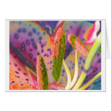 Surreal Lily Card