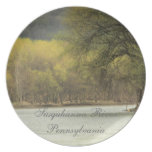 Susquahanna river dinner plates