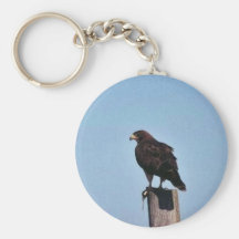 Swainson's Hawk Key Chain