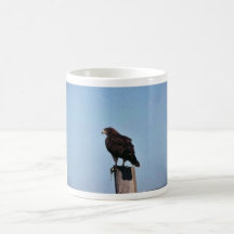 Swainson's Hawk Mug