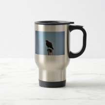 Swainson's Hawk Mugs