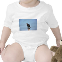 Swainson's Hawk T Shirts