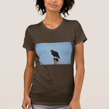 Swainson's Hawk Tee Shirt
