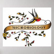 Swallow and Scroll with Microbiology Poster