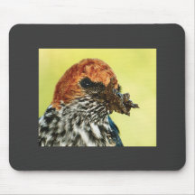 Swallow avian mousepads & mousemats