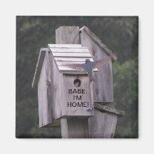 Swallow Returning to Birdhouse Magnet