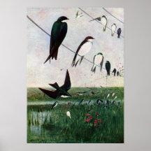 Swallows on a Power Line Print