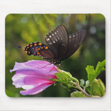 Swallowtail Butterfly Mouse Pads