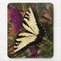 Swallowtail butterfly mousepad