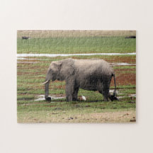 swamp elephant puzzle