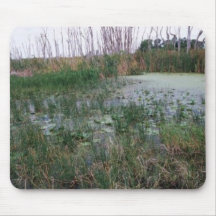 Swamp environment mousepads