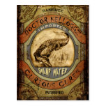 Swamp Water Postcards