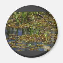 Swamps Lake Magnets