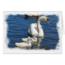Swan Family ~ card