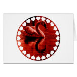 Swan Love Greeting Card