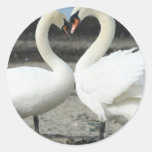 Swan Love Stickers