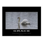 Swan Motivational Gifts Postcard