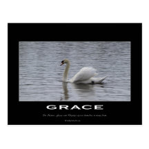 Swan Motivational Gifts Postcard