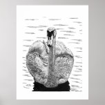 Swan Pen and Ink Customisable Print