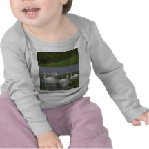 Swans Animal Tees