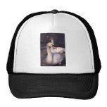 Swans at Windermere in The Lake District Hat