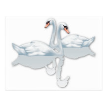 SWANS IN LOVE FOR WEDDINGS POST CARD