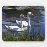 Swans Mousepad