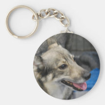 Swedish Vallhund  Keychain
