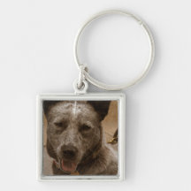 Sweet Australian Cattle Dog Key Chain