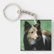 Sweet Collie Keychain Acrylic Keychains
