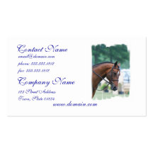 Sweet Morgan Horse Business Cards