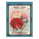 Sweet Peas Post Card
