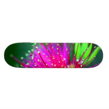Sweet Sissy Floral Pink Girly Girl Skateboard