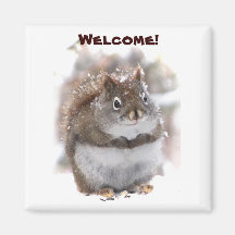 Sweet Squirrel Welcome Refrigerator Magnets