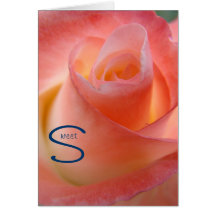 Sweet Valentine's Cards Pink Rose Flowers Love