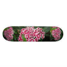 Sweet William Design Skateboard