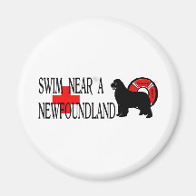 Swim near a Newfoundland Magnet