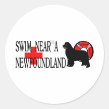 Swim near a Newfoundland Round Stickers