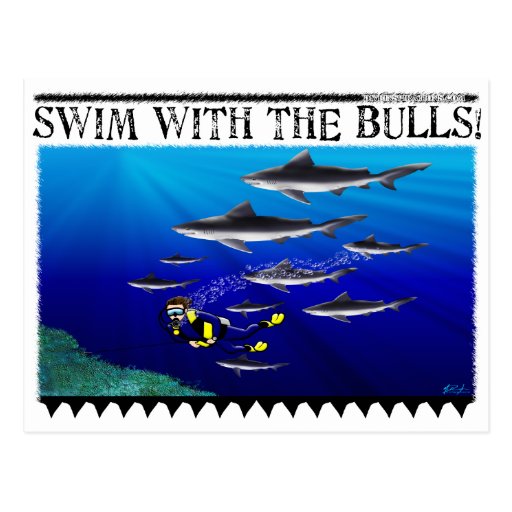 Swim with the Bulls Postcard