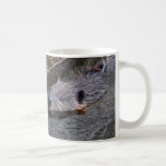 Swimming Beaver Wildlife Gift Mug