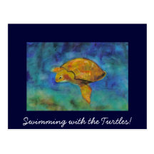 Swimming with the Turtles! Post Card