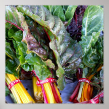 Swiss Chard Posters