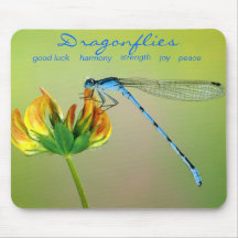 Symbolism of Dragonflies Mouse Pad
