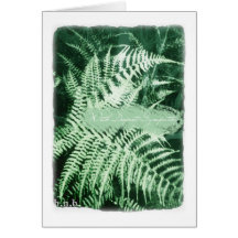 Sympathy Distressed Fern Vintage Note Card