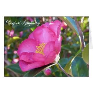Bereavement Cards, Invitations, Photocards & More