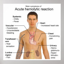Symptoms of Acute Hemolytic Transfusion Reaction Print
