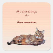 Tabby Cat Bookplate Square Stickers