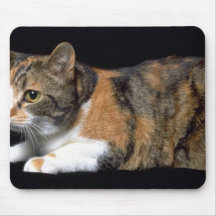 Tabby Mousepads